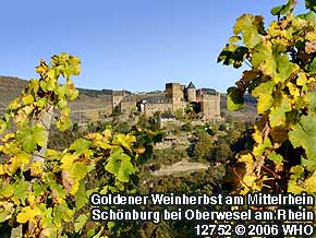 Schnburg bei Oberwesel am Rhein